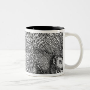 Tasse 2 Couleurs Porc-épic, de 'Historia Animalium