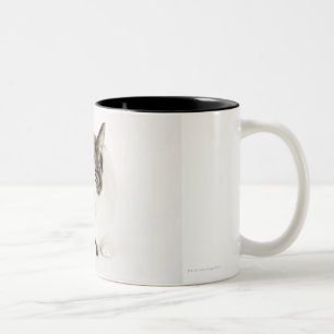 Tasse 2 Couleurs Portrait de chat de calicot