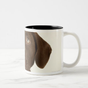 Tasse 2 Couleurs Portrait de quatre mois de chiot de laboratoire de