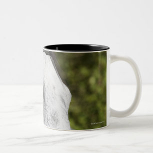 Tasse 2 Couleurs portrait du cheval blanc 2
