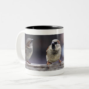 Tasse 2 Couleurs Quatre moineaux sur une barrière
