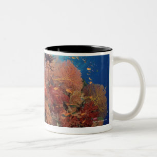 Tasse 2 Couleurs Récif pittoresque des coraux durs, coraux mous 2