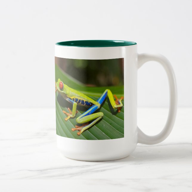 Tasse 2 Couleurs Red eyed tree frog (Droit)