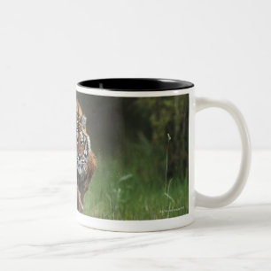 Tasse 2 Couleurs Remplissage humide de tigre sibérien