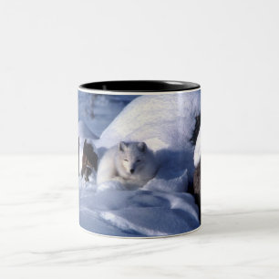 Tasse 2 Couleurs Renard arctique en neige