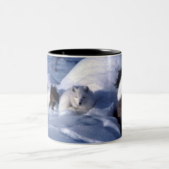 Tasse 2 Couleurs Renard arctique en neige (Centre)