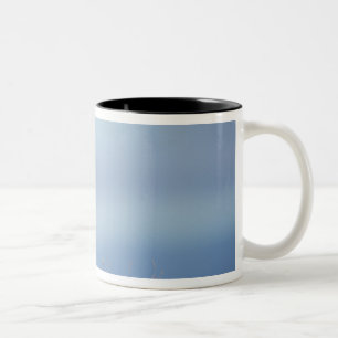 Tasse 2 Couleurs renard roux, Vulpes vulpes