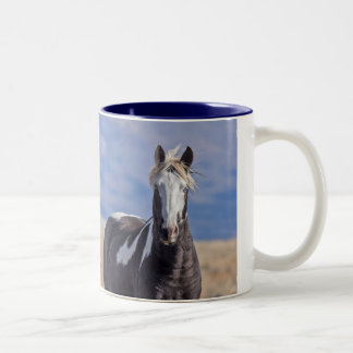 Tasse 2 Couleurs Renégat, étalon sauvage