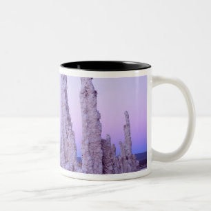 Tasse 2 Couleurs Réserve de Mono Lake. Californie. États-Unis. Tufa
