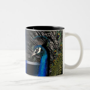 Tasse 2 Couleurs Rêves de paon