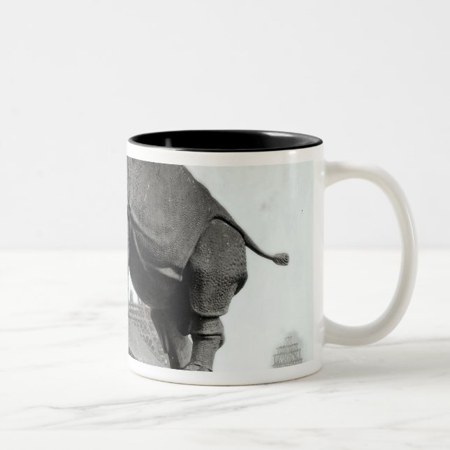 Tasse 2 Couleurs Rhinocéros (Droit)