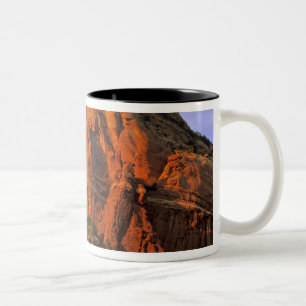 Tasse 2 Couleurs Rochers rouges à Sterling Canyon à Sedona Arizona