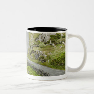 Tasse 2 Couleurs Route entre Ballaghacahreen et Caherkeen.