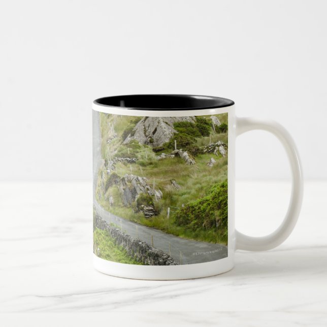 Tasse 2 Couleurs Route entre Ballaghacahreen et Caherkeen. (Droit)