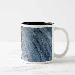Tasse 2 Couleurs Saumon Brown de l'Alaska à Brooks