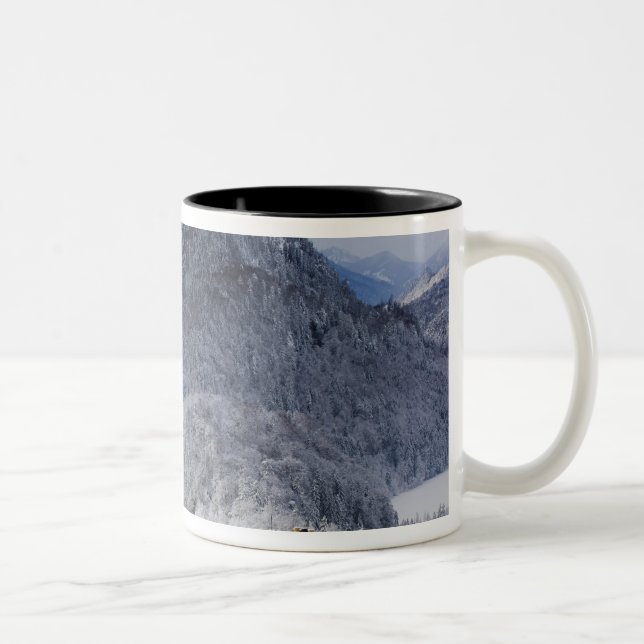 Tasse 2 Couleurs Schloss Hohenschwangau (Droit)