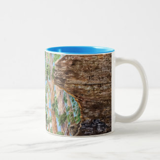Tasse 2 Couleurs Sequoia Redwoods