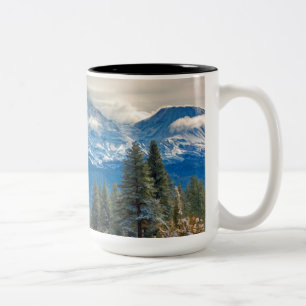 TASSE 2 COULEURS SHASTA DU MONT D'ÉPOQUE