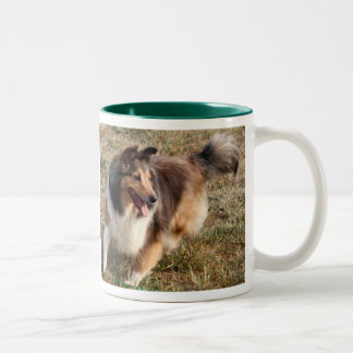 TASSE 2 COULEURS SHELTIE AYANT L'AMUSEMENT