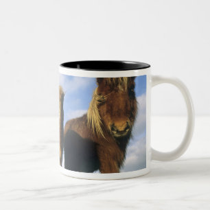 Tasse 2 Couleurs Shetland Pony, îles Shetland continentales