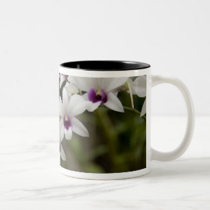 Tasse 2 Couleurs Singapour (sanscrit pour Ville du Lion). National