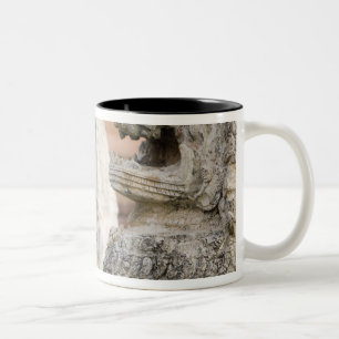 Tasse 2 Couleurs Singhat Wat Thammikarat 2