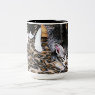 Tasse 2 Couleurs Sleepy Kittens