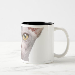 Tasse 2 Couleurs Sphynx (7 mois)