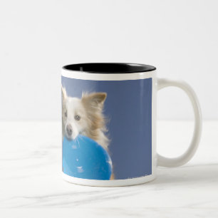 Tasse 2 Couleurs Stockton, la Californie, Etats-Unis
