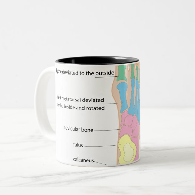 Tasse 2 Couleurs Structure du pied humain (Devant gauche)