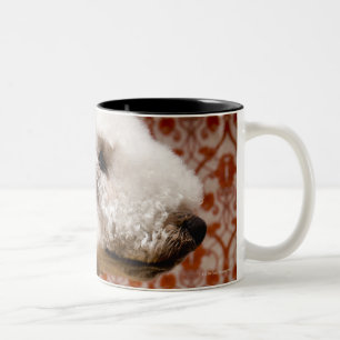 Tasse 2 Couleurs Studio tiré de Bedlington Terrier