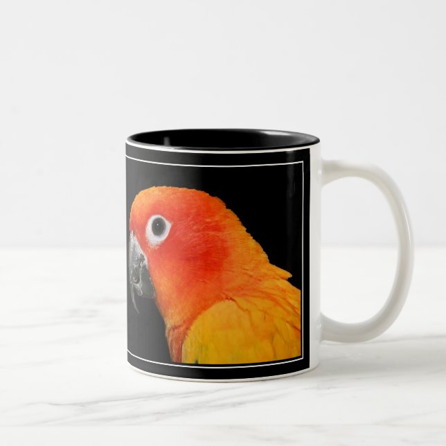 Tasse 2 Couleurs Sun Conure (Droit)