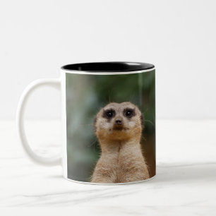 Tasse 2 Couleurs Suricate 001