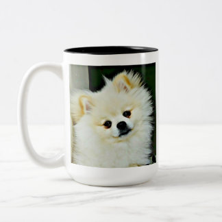 Tasse 2 Couleurs Sweet Pomeranian