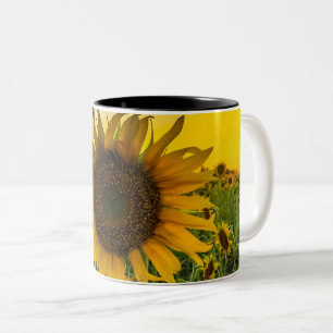 Tasse 2 Couleurs Terrain de tournesol du Kansas