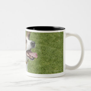 Tasse 2 Couleurs Terrier de Jack Russell sautant, vue élevée