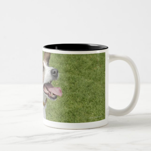 Tasse 2 Couleurs Terrier de Jack Russell sautant, vue élevée (Droit)
