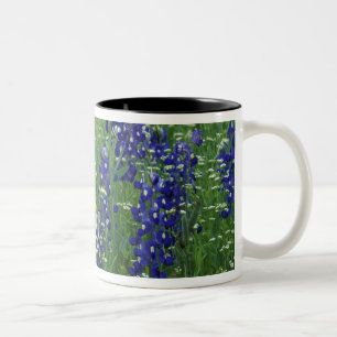 Tasse 2 Couleurs Texas, lac Buchanan. Bleuet du Texas et sauvage