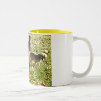 Tasse 2 Couleurs Tout le septembre 2006 001 de chiens