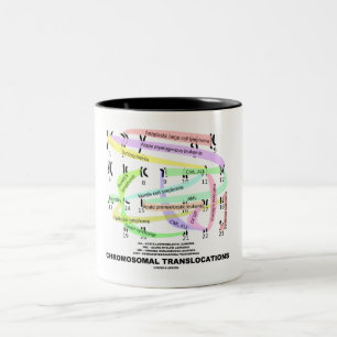 Tasse 2 Couleurs Translocations chromosomiques (Karyogramme)