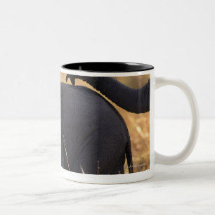 Tasse 2 Couleurs Tronc de progéniture émouvante d'éléphant, Ken