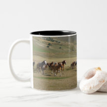 Troupeau de chevaux