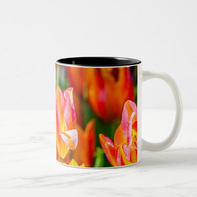 Tasse 2 Couleurs Tulipes Enchanter 17 (Droit)