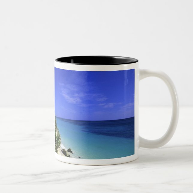 Tasse 2 Couleurs Tulum, Mexique 2 (Droit)