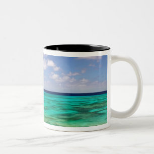 Tasse 2 Couleurs Turks et Caïcos, Grand Turk Island, Cockburn 3