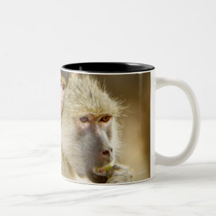 Tasse 2 Couleurs Un babouin jaune infantile (Papio