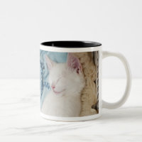 Un chat blanc dormant dans un panier de
