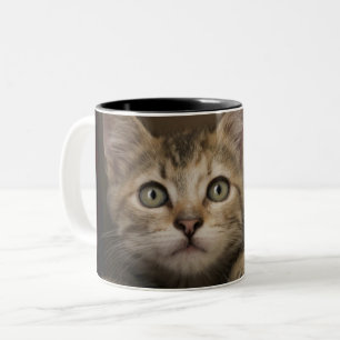 Tasse 2 Couleurs Un chaton tigré très doux