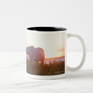 Tasse 2 Couleurs Un cheval dans un domaine