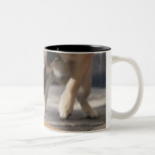 Tasse 2 Couleurs Un chien mangeant une crème glacée d'un trottoir